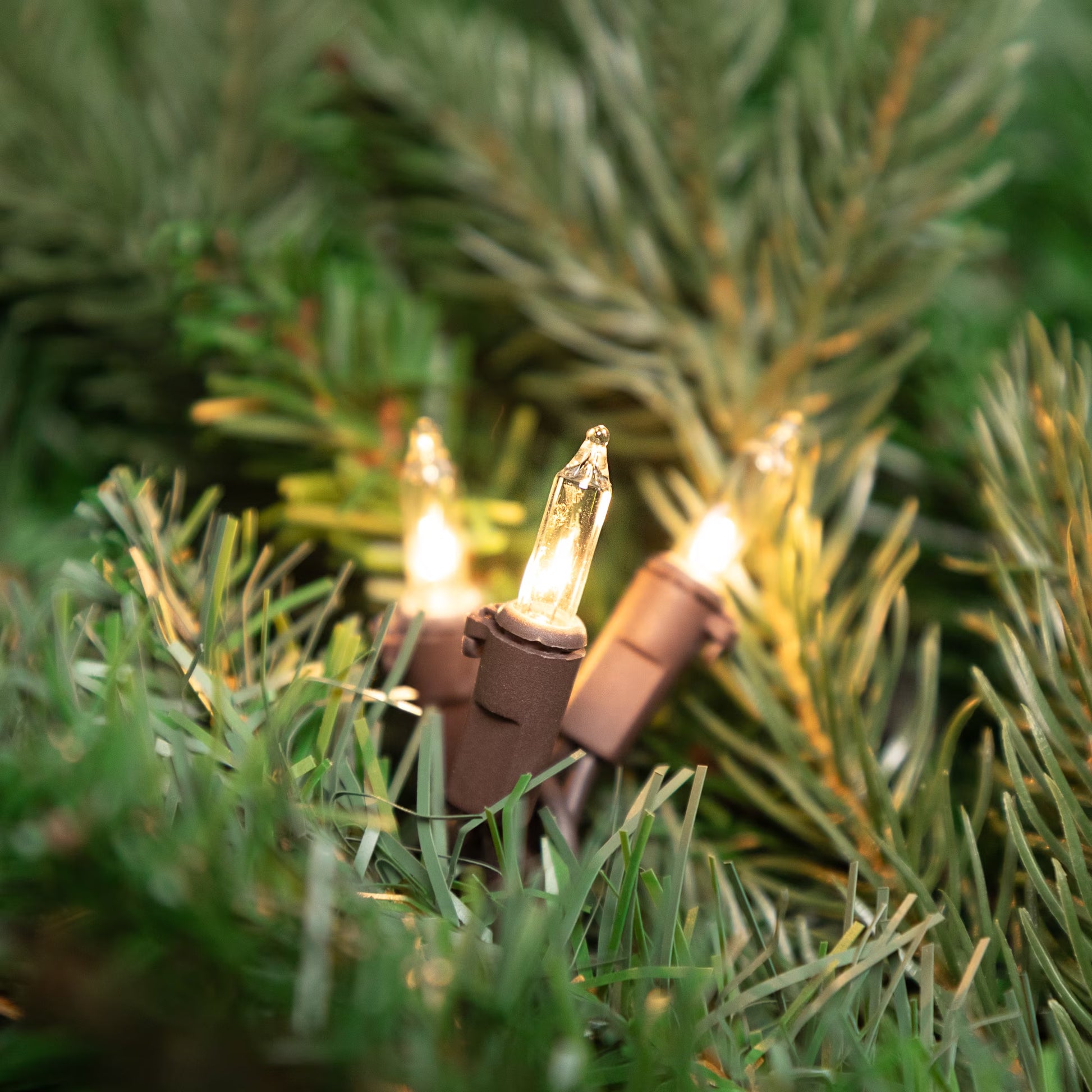 Mini Incandescent Christmas Lights - Clear - 10' Brown Wire - 50Ct