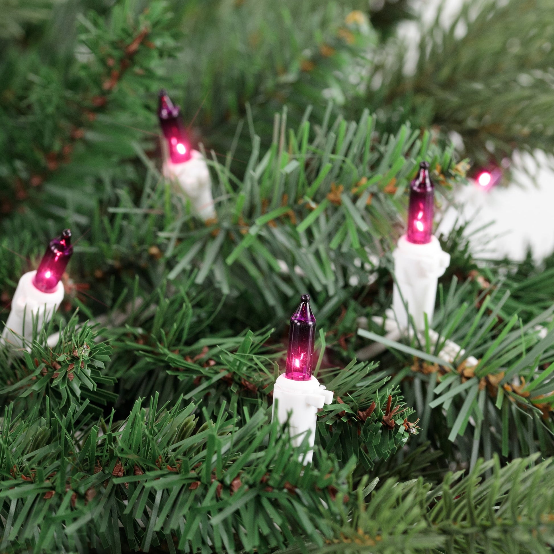 Mini Incandescent Christmas Lights - Purple - 10' White Wire - 50Ct