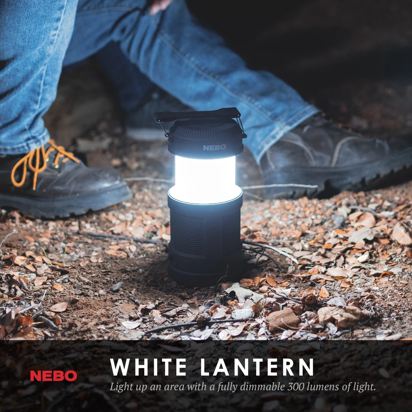Big Poppy 300 Lumen LED Lantern and 120 Lumen LED Spot Light